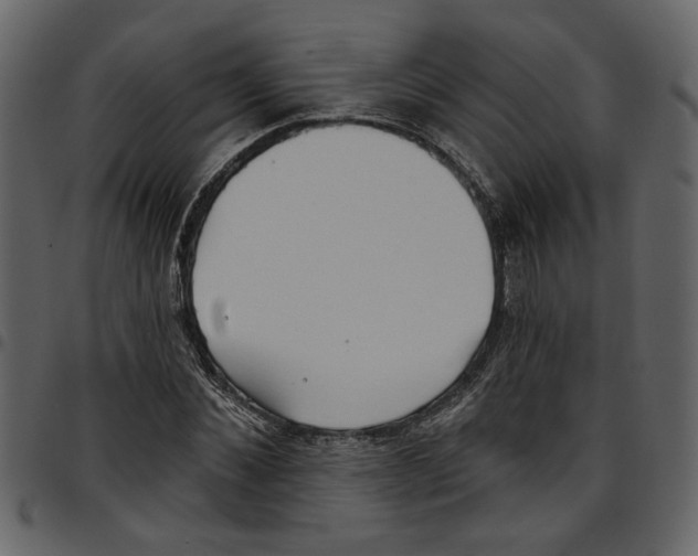 X0000097510876200803201613