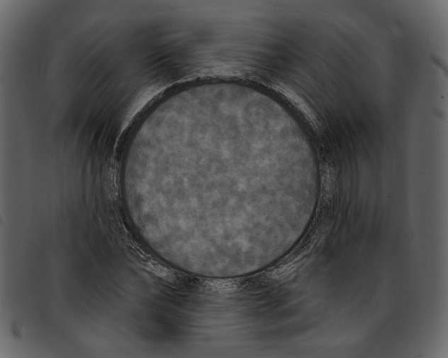 X0000097510878200803201613