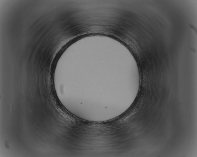 X0000097510880200803201613