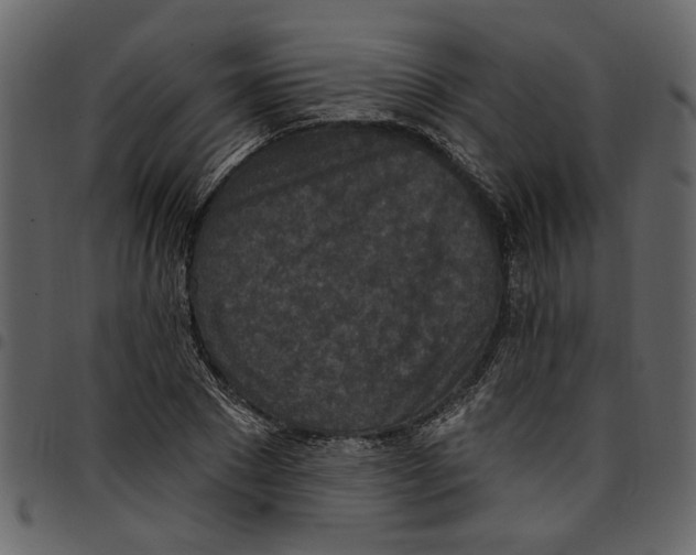 X0000097510881200803201613