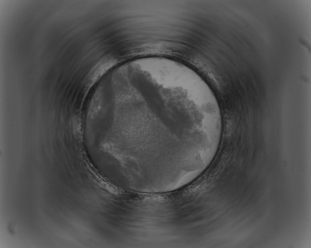 X0000097510882200803201613