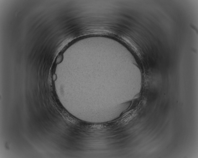 X0000097510883200803201613