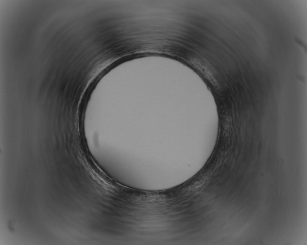 X0000097510884200803201613