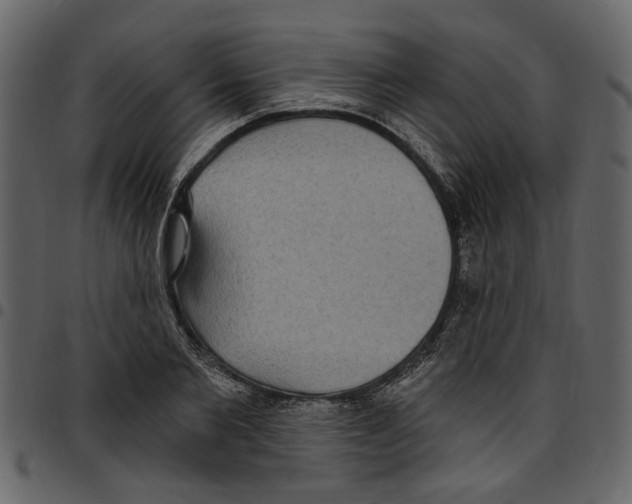 X0000097510885200803201613