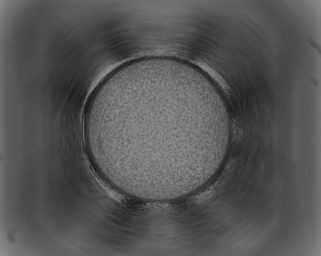 X0000097510886200803201613