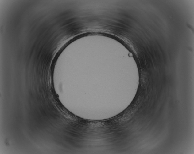 X0000097510887200803201613