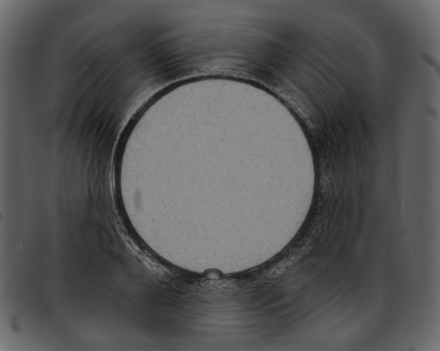 X0000097510888200803201613