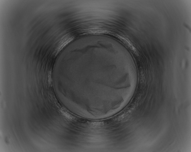 X0000097510889200803201613