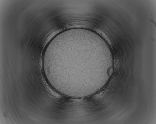 X0000097510890200803201613