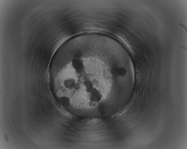 X0000097510891200803201613