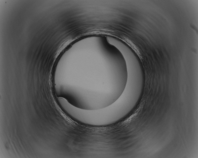 X0000097510893200803201613