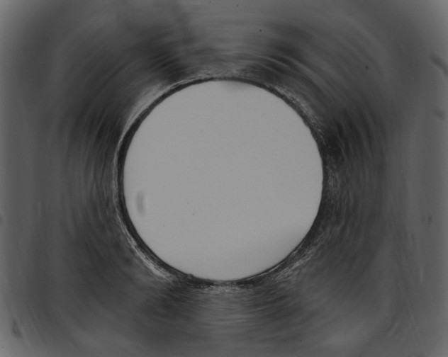 X0000097510894200803201613
