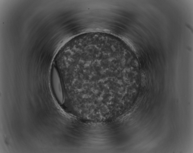 X0000097510895200803201613