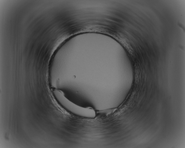 X0000097510896200803201613