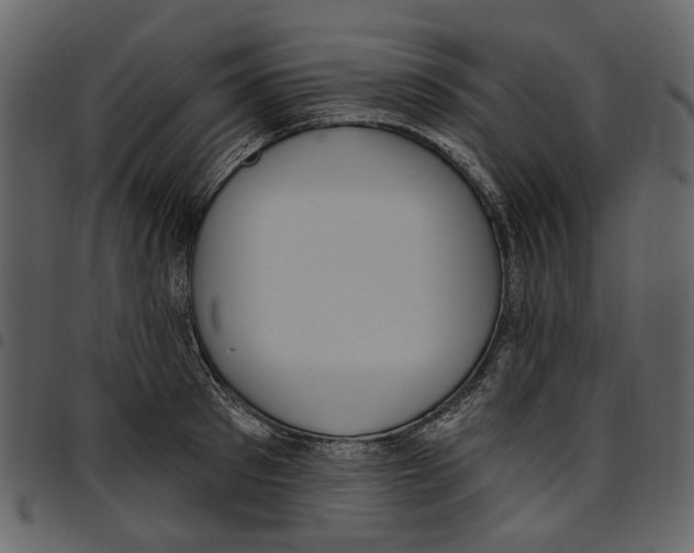 X0000097510897200803201613