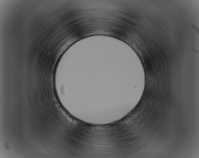 X0000097510898200803201613