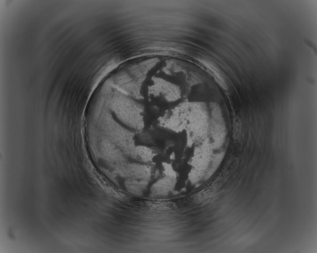 X0000097510899200803201613