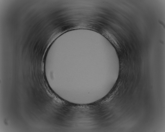 X0000097510900200803201613