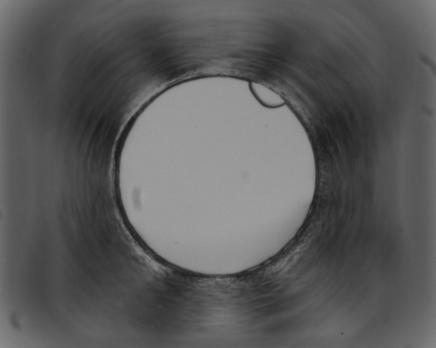X0000097510902200803201613