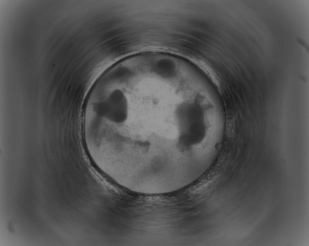 X0000097510903200803201613