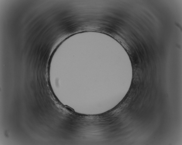 X0000097510904200803201613