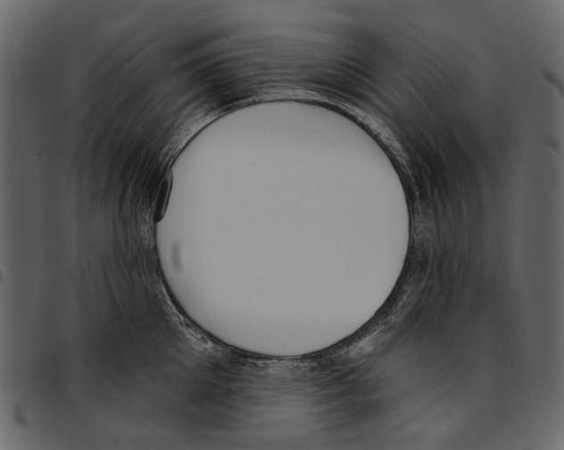 X0000097510905200803201613