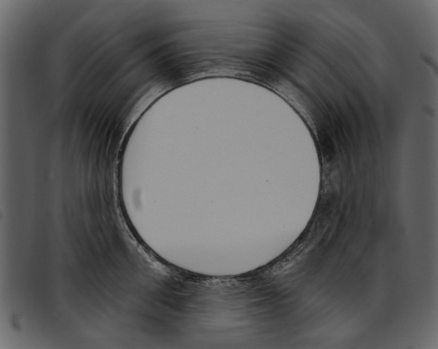 X0000097510906200803201613
