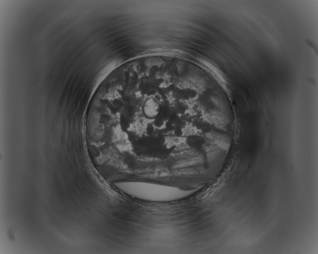 X0000097510907200803201613