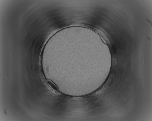 X0000097510908200803201613