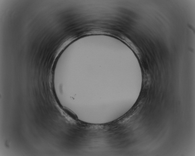 X0000097510909200803201613