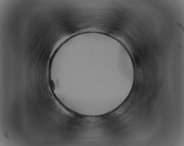 X0000097510910200803201613