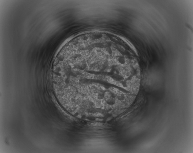 X0000097510911200803201613