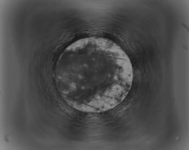 X0000097510913200803201612