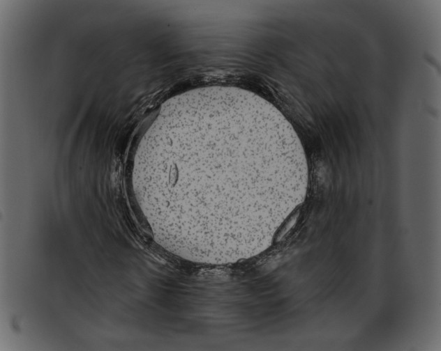 X0000097510914200803201612