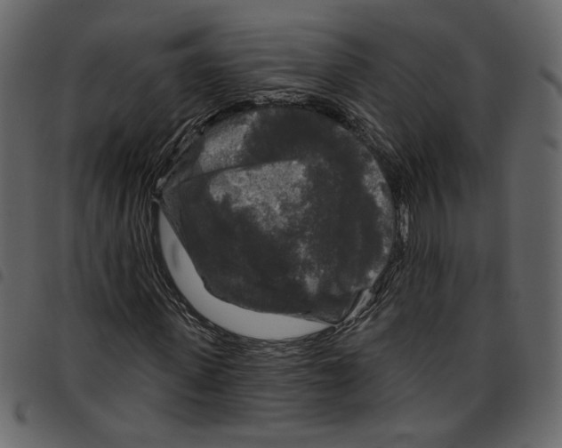 X0000097510915200803201612