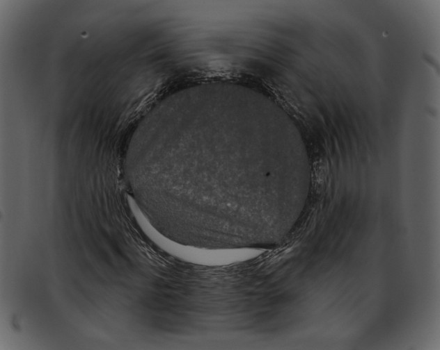 X0000097510916200803201612