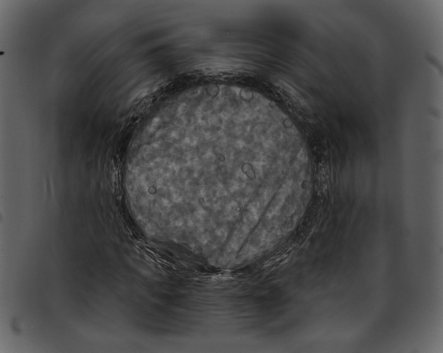 X0000097510917200803201612