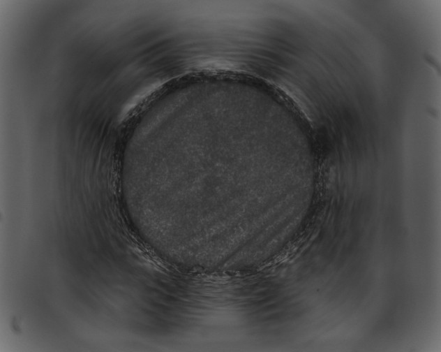 X0000097510919200803201612