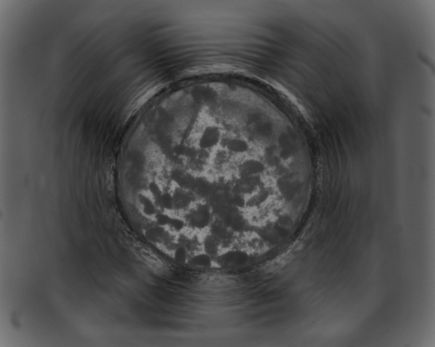 X0000097510921200803201612