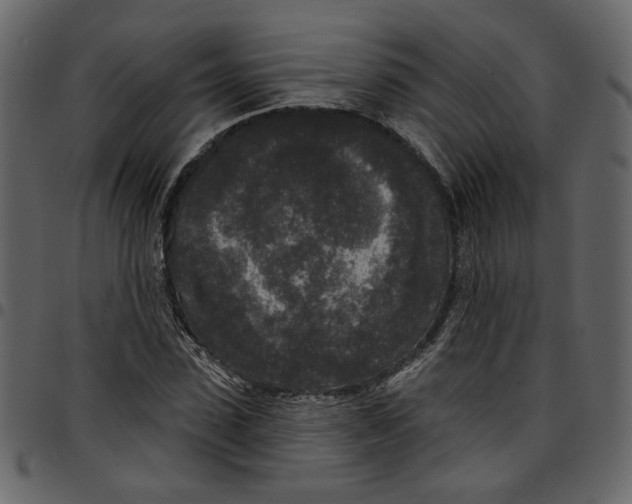 X0000097510923200803201612