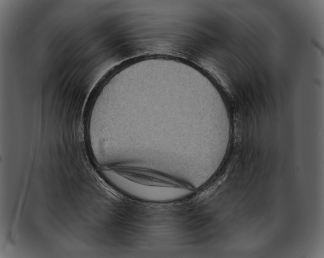 X0000097510924200803201612