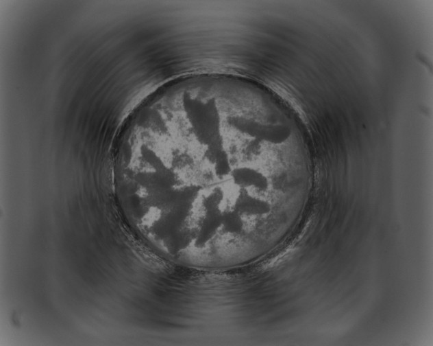 X0000097510925200803201612