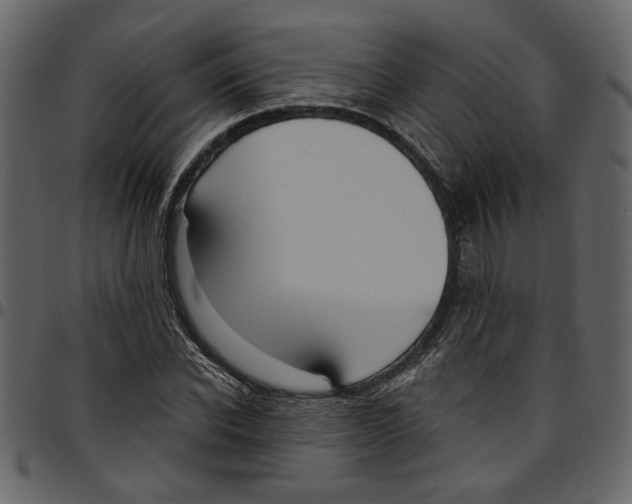 X0000097510926200803201612