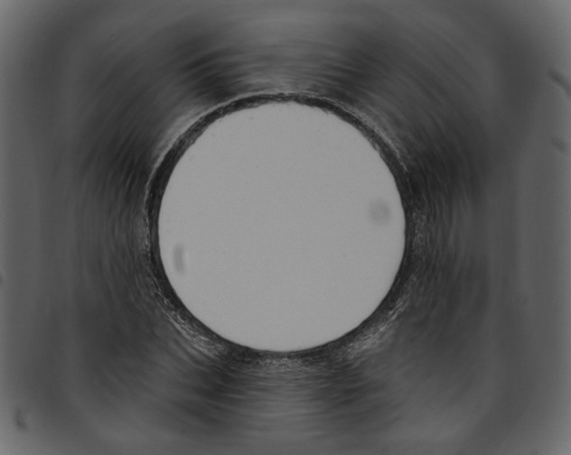 X0000097510927200803201612