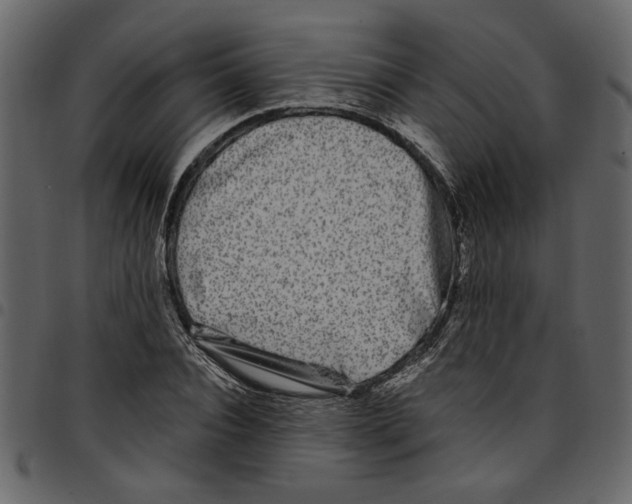 X0000097510928200803201612