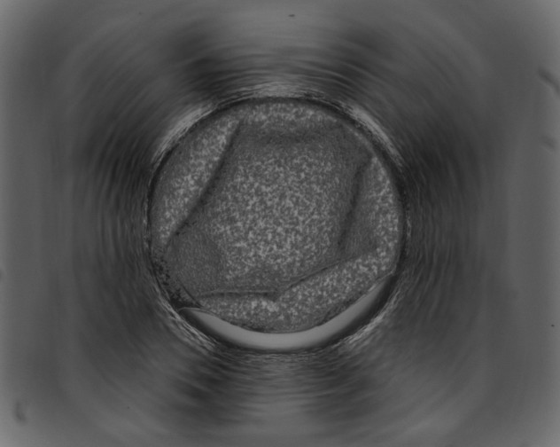X0000097510930200803201612