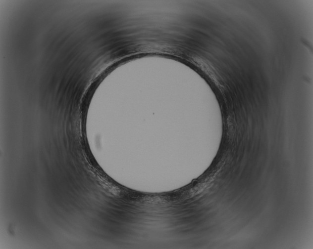 X0000097510931200803201612