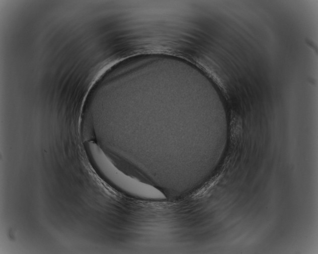X0000097510932200803201612