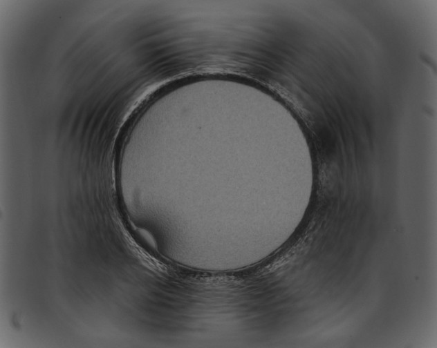 X0000097510934200803201612