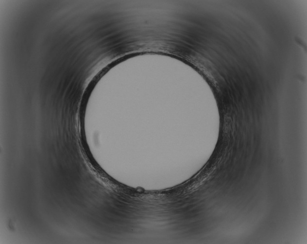 X0000097510936200803201612